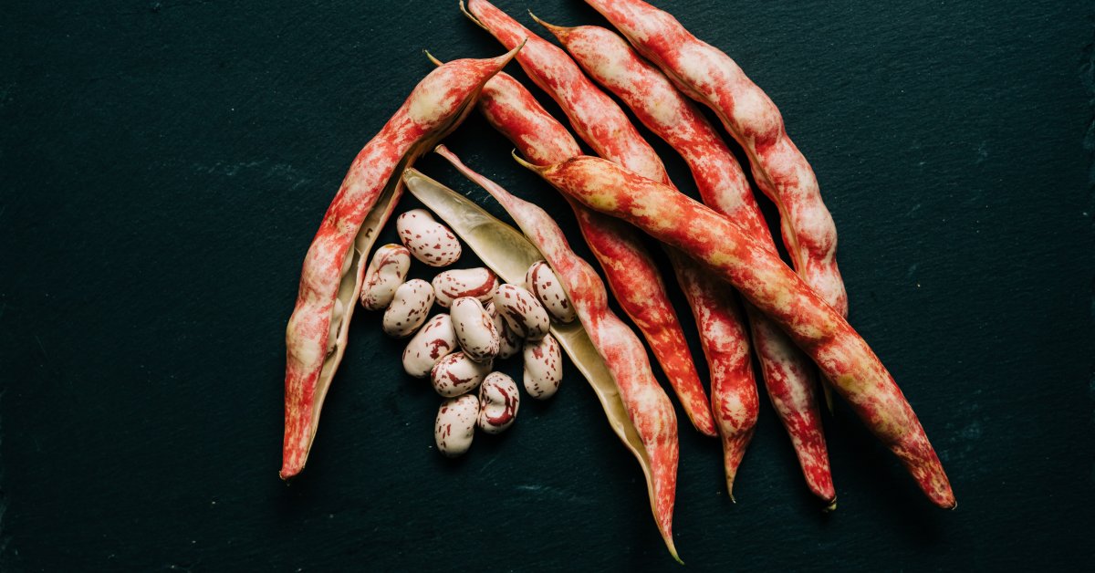 Guide To Borlotti Beans Yuzu Bakes   Borlotti Beans Shelled And Unshelled 