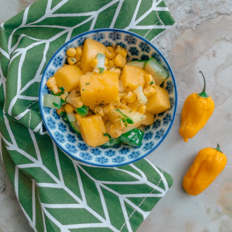 Mango Habanero Salsa – American Spoon