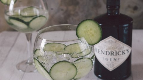 hendricks tonic hendrick